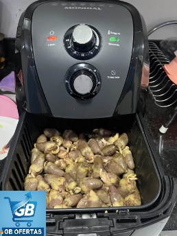 Fritadeira sem óleo air fryer 4L Mondial 1500W AFN-40-BFT Real1 Destaca-se Imagem Enviada e Avaliada por Comprador de Diversos Alimentos Preparados na Fritadeira sem óleo air fryer 4L Mondial 1500W AFN-40-BFT